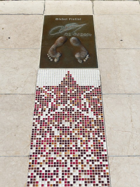 全指导和应 全指导和应