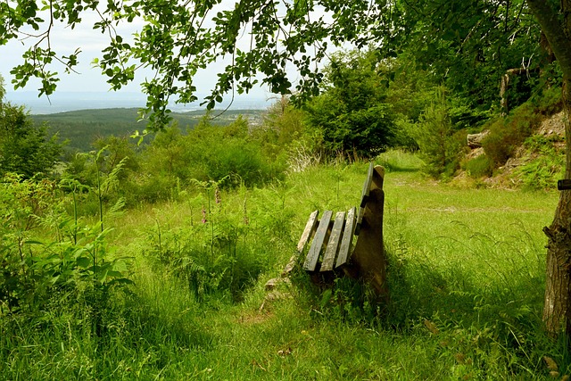 虽然未进入 虽然未进入