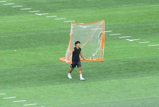 不仅限于绿