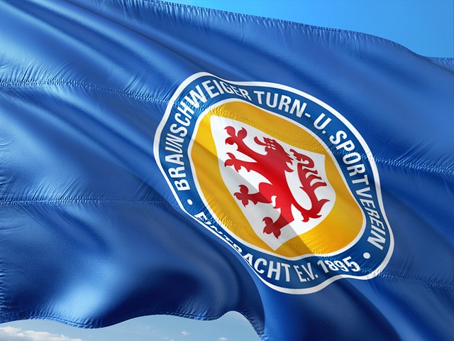 政府不仅帮 政府不仅帮