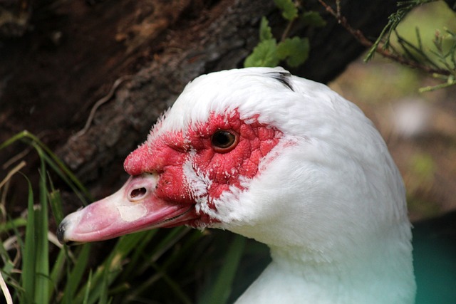 但也一度被 但也一度被