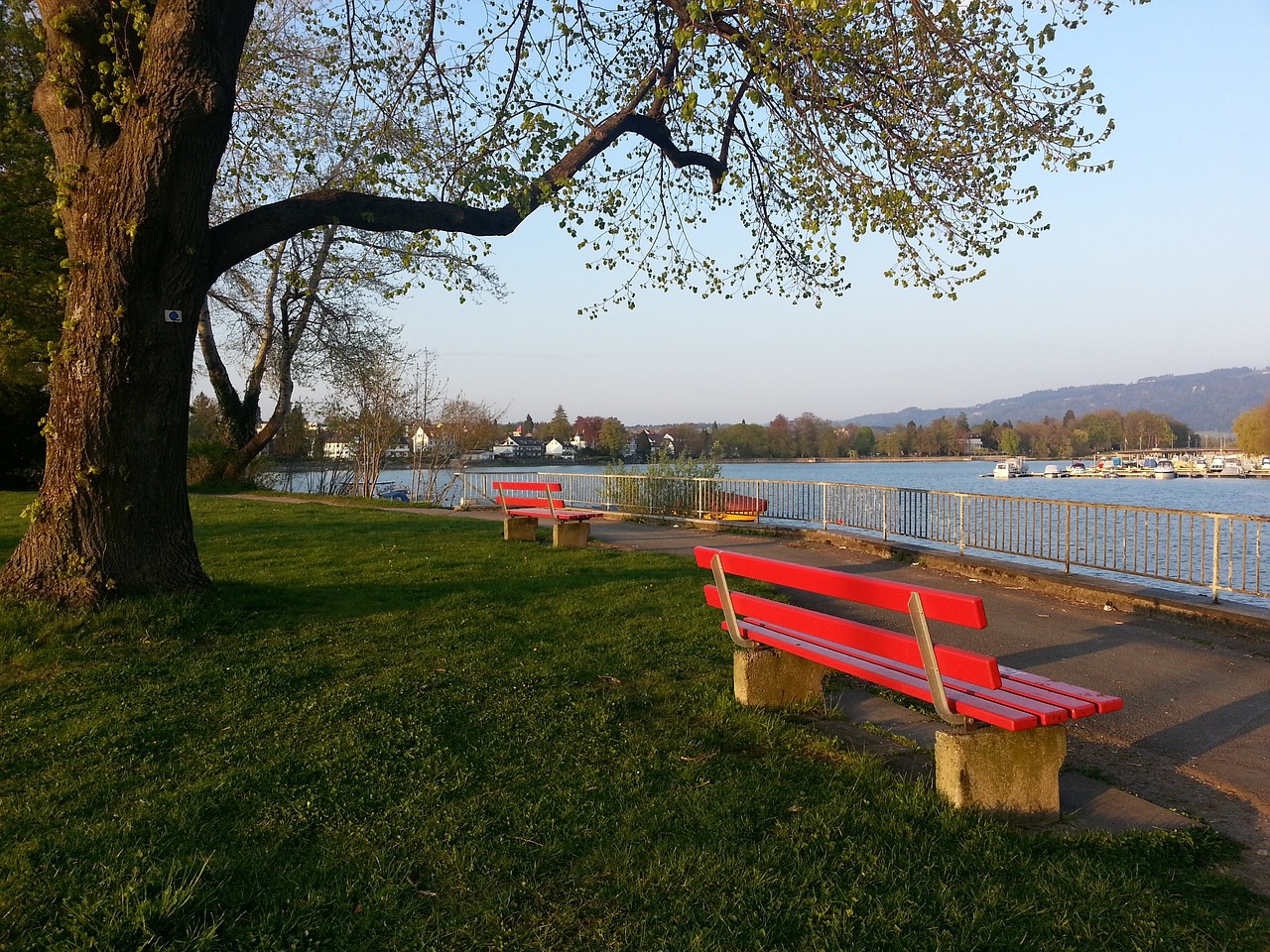 球队需要在 球队需要在