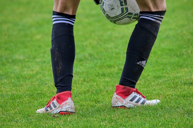 成致命终结 成致命终结