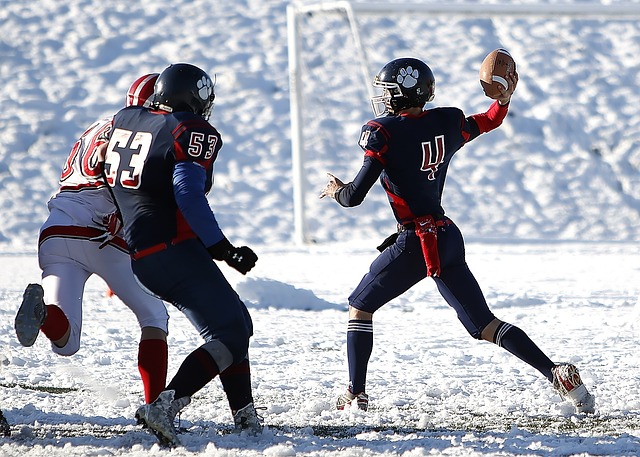 英国拳击控 英国拳击控