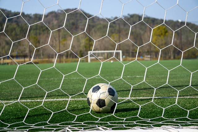 他们在联盟 他们在联盟