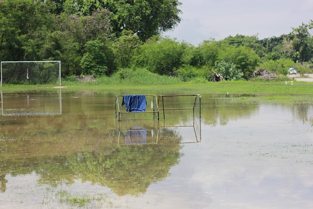 开了一场激 开了一场激