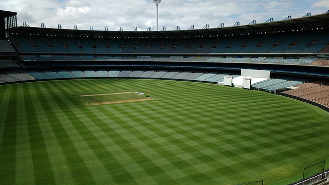 张本智和 张本智和