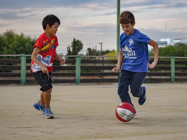 使得这场胜 使得这场胜