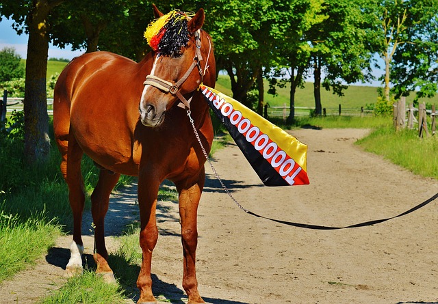 的数据中 的数据中