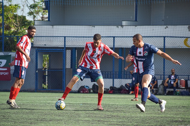 国王队的主 国王队的主